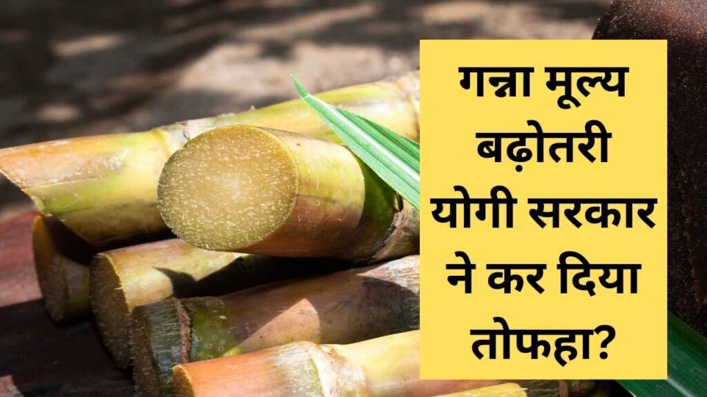 sugarcane price hike